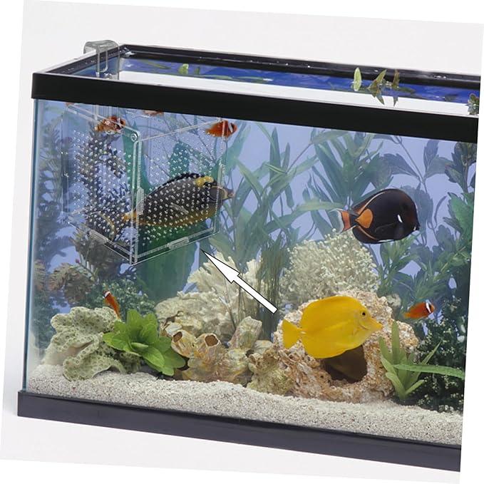BESPORTBLE 1set Acrylic Fish Isolation Box for Aquariums Breeding Tank Divider Cups Design for Easy Observation and Sturdy for Fish Safety