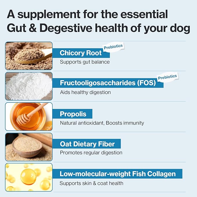 Doctor By Squeeze Probiotics for Dogs Gut Health Immunity Skin&Allergy Care Diarrhea Relief Digestive Stomach Support with L. crispatus KT-11 Lickable Paste Formula Individually Packaged, Chicken