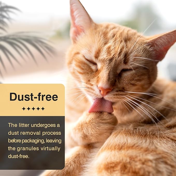 Enhanced Cat Litter Pellets 9 lbs, Long-Lasting Odor Control, Generic Litter Pellets Refills Exclusively for Dual-Layer Litter Box Systems, Zeolite, Non-climping, Not Low-Tracking