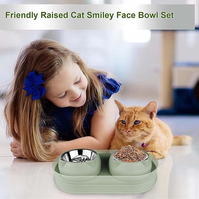 Elevated Raise Tilted Cat Food Bowls,with Stand Stainless Steel, Anti Vomiting, Double Cat Food and Water Bowl Set (Green)