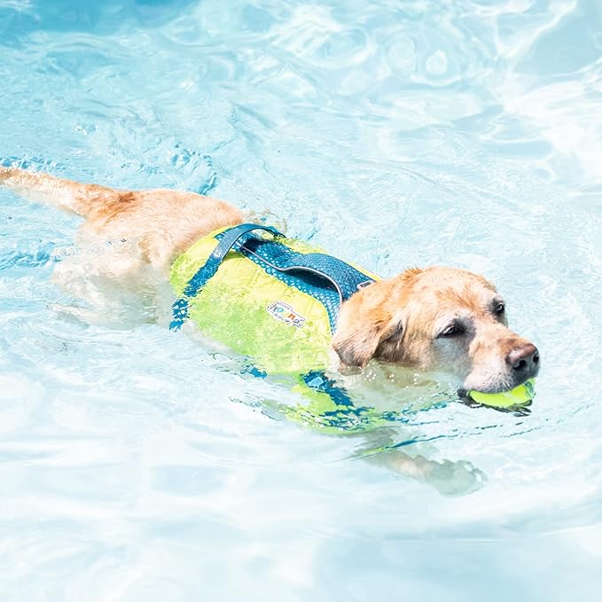 Outward Hound Standley Sport Dog Life Jacket, High-Performance Ripstop Dog Life Vest for Swimming, Boating, and Water Safety, XS, Green