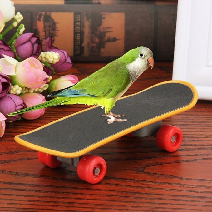 Bird Parrot Intelligence Toys Training Skateboard Stand Perch for Parakeet Budgies Cockatiels Lovebird Funny Talbe Toy