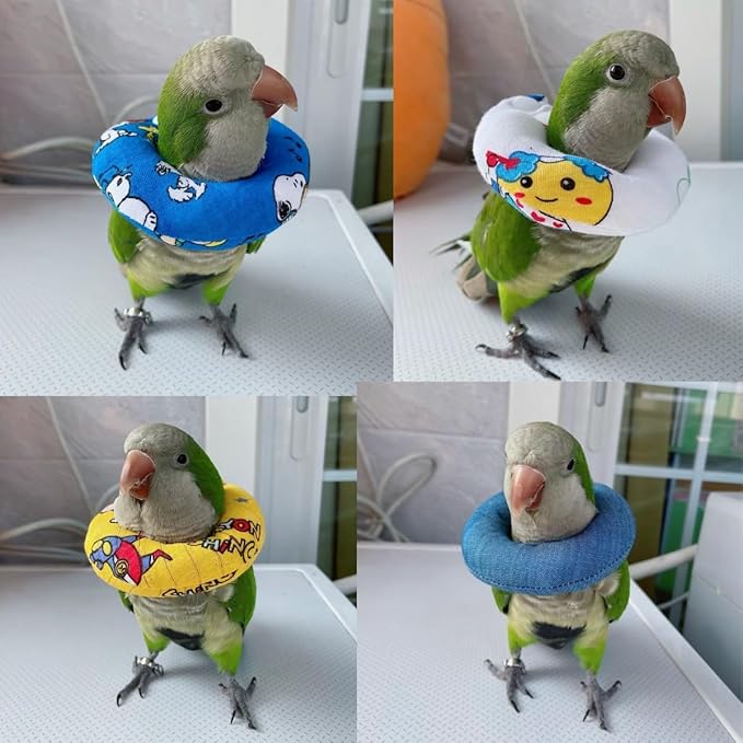 Parrot Neck Collar Pet Anti-bite Picking Feather Healing Protective Neck Cover Collar for Birds Conures Cockatiels Lovebirds Budgies Cockatoos African Grey Random Color (M)