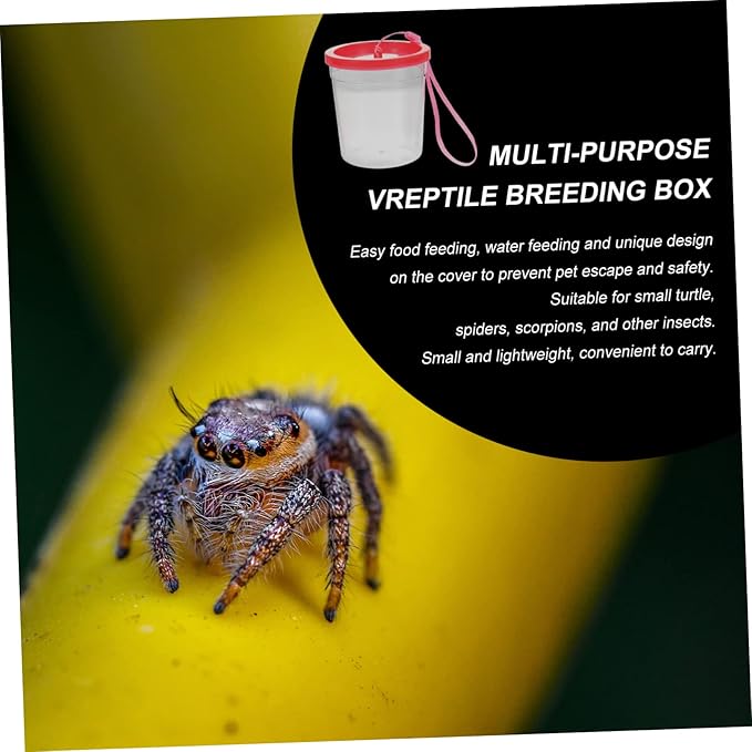 1pc Box Turtle Tank Mini Spider Habitat Pet Acrylic Nature Exploration Cage Mini Fish Fedding Cup Transparent Cup Reptile Pet Feeding Container Transport Vehicle Betta Fish Plastic
