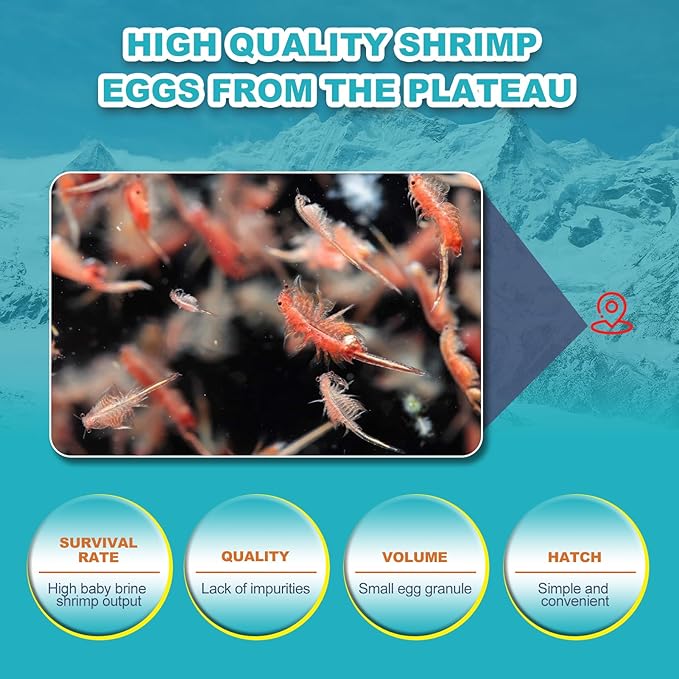 Dylan's cabin Brine Shrimp Eggs Fish Food - 90% Hatch Rate for Aquatic Foods Baby Aquarium Fish Freshwater Saltwater Marine Tank Hatchery Fry 40G
