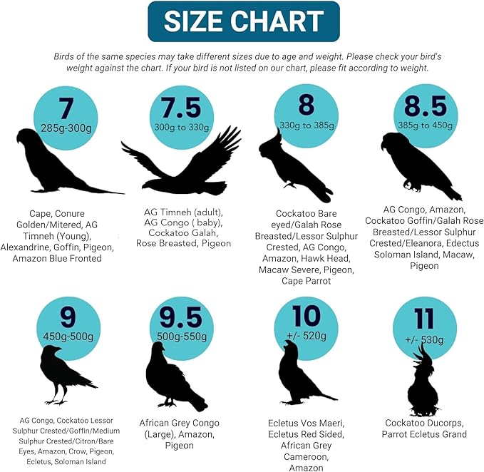 Bev's Bird Boutique Regular Flyper Adjustable Bird Diaper | Reusable, Washable Cloth | Comfort Fit for Parrot, Cockatiels, & Other Small Birds | Fashionable Avian Accessories, Tuxedo, Size 8