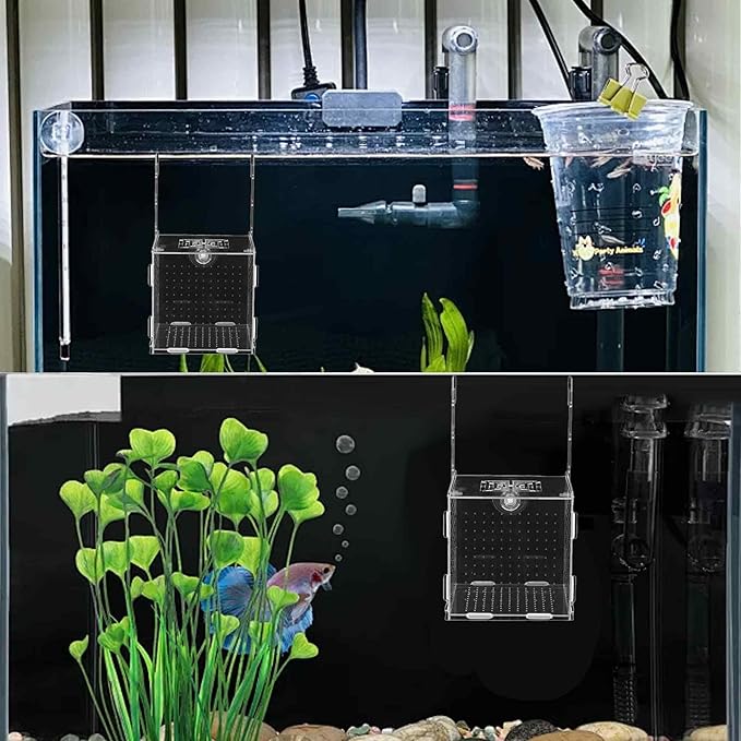 5.9 x 5.9 x 5.9 inch Acrylic Fish Breeding Box, Transparent Isolation Hatchery Incubator with Suction Cups for Guppy Shrimp Small Baby Fishes Aquarium Nursery Tank