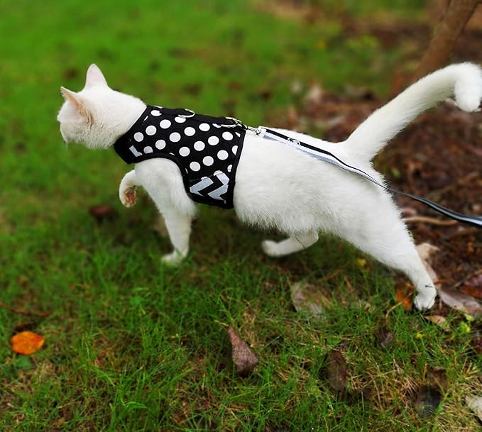 Cat Harness and Leash for Walking Escape Proof, Adjustable Cat Vest Harness, Padded Stylish Cat Walking Jackets, Polka Dot Black, X-Small