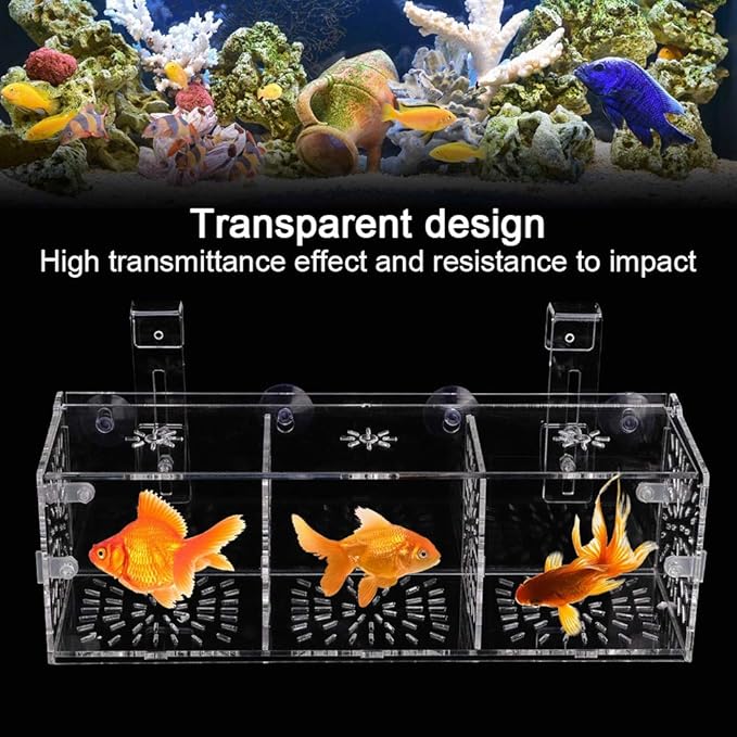 Fish Breeding Isolation Box Aquarium Acclimation Hatchery Incubator Acrylic Transparent Aquarium Hatchery Incubator Holder(30CM*10CM*10CM)
