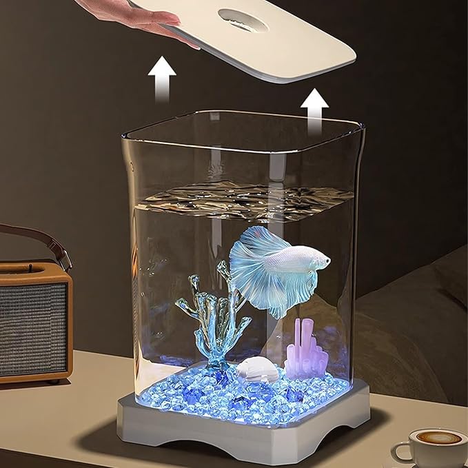 Glass Betta Kit, Glass 5x5x5 Inch | Elegant Glasss Aquarium with Stackable Design, Desktop, Countertop, Stackable Cube Tank for Home Office School
