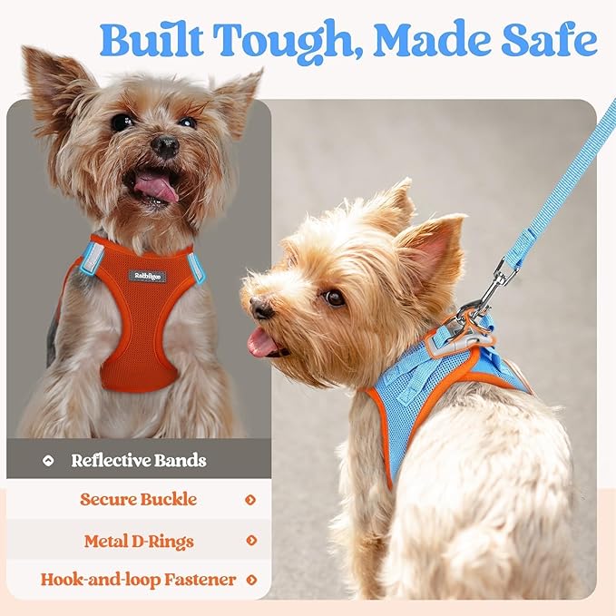 rabbitgoo Dog Harness Small Sized and Leash Set, Step in Soft Light Puppy Vest, Breathable Mesh Pet Harness, Reflective for Safe Easy Walking, Blue & Orange XXS