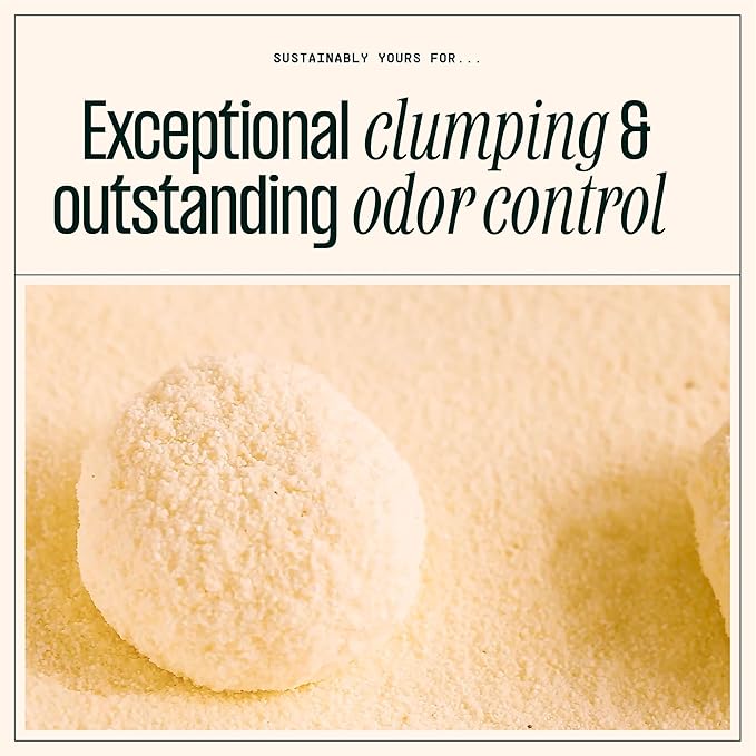 Sustainably Yours Natural Cat Litter, Mixed-Grain Formula, Exceptional Clumping & Odor Control, Virtually No Dust, Easy to Scoop, Corn & Cassava Plant-Based, Unscented, 10 lbs