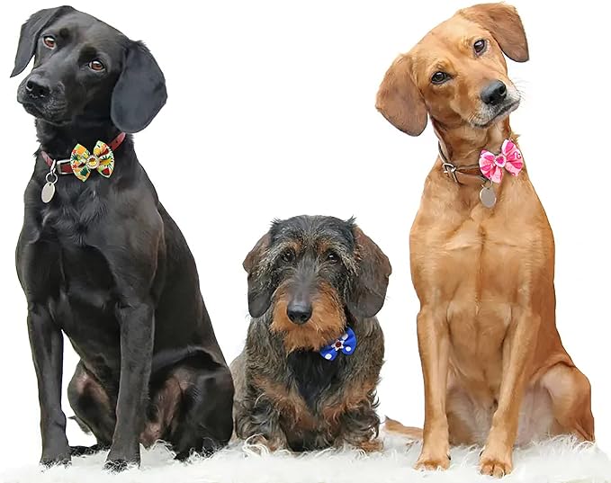 Christmas Dog Hair Bows - Cute Puppy Bowknots with Rubber Bands, Pet Grooming Accessories for Party
