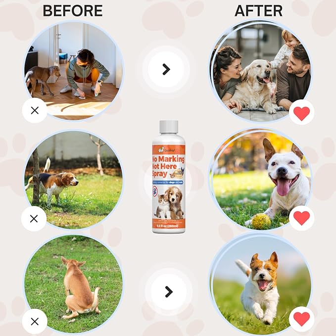 Qucship 8oz Stop Your Dog Wrong Marking with This Solution, Keep Your Home Clean with Our Dog Training Spray - no More Marking Spray for Dogs
