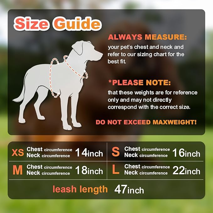Dog Harness Medium Sized Dogs, Puppy Harness and Leash Set for Training, Running, Walking, Suitable for Small and Medium Dog Vest, Orange, XS