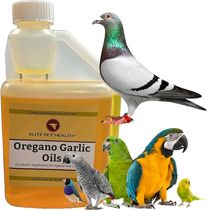 Oregano and Garlic Oil Quality Oregano Oil for Pigeons with Garlic Oil for Pigeons, Palomas and Birds