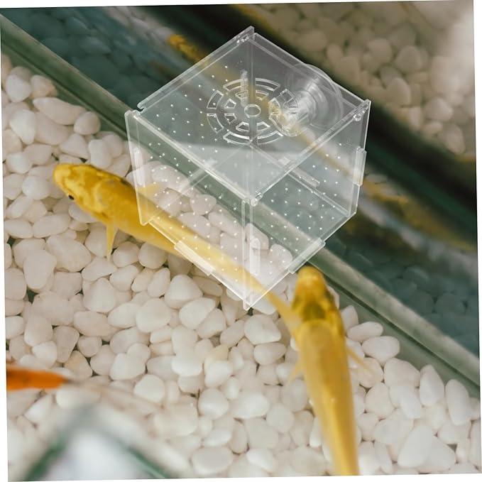 Box Aquarium Breeding Box Dual Purpose Acrylic Isolation Holder for Fish Shrimp Compact Incubator Hydroponic Separator Easy to Clean Maintain