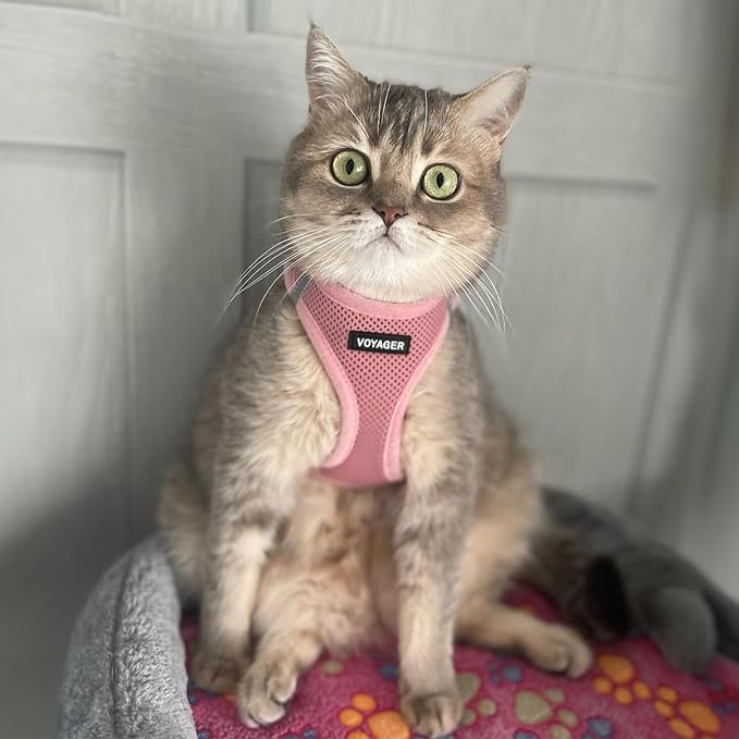 Best Pet Supplies Voyager Step-in Air Harness - All Weather Mesh, Reflective, No Pull Harness for Dogs, Cats - Secure with Hook & Loop Fastener, Buckle, Double D-Rings - Pink, S