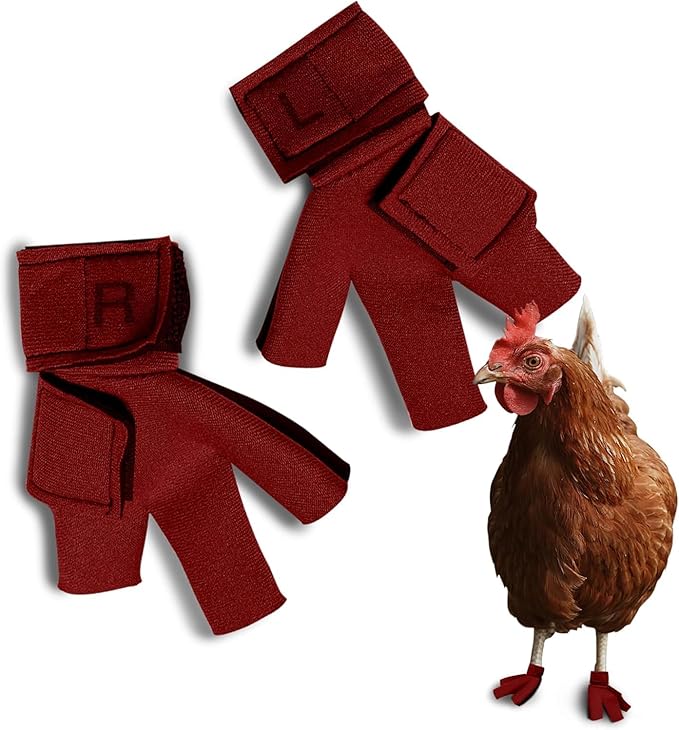 Chicken Shoes for Injured Feet – Protective Neoprene Footwear for Chicken, Open-Toe Design for Bumblefoot Relief, Made in USA (Chicken Shoes, Red, Medium Chickens)