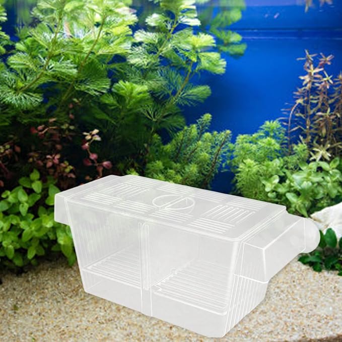 Multiuse Fish Isolation Container Breeding Incubator with Suction Cup 2 Dividers for Aggressive Newborns 2PCS Breeding Tanks