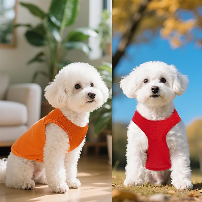 4 Pcs Cat Shirts Solid Color Dog Clothes Summer Sleeveless Pet T Shirts for Small Pet Dogs Cat (Black,Grey,Red,Orange, Small)