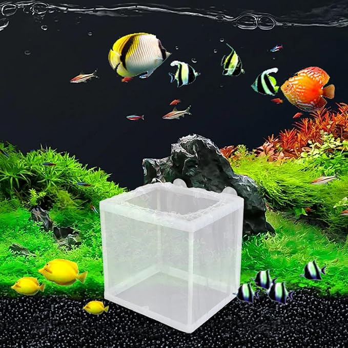 Fish Breeding Box - Aquarium Breeder Box, Mesh Box Fish Breeding Tanks | Fish Tank Breeding Isolation Box, Fish Fry Hatchery with Suction Cups, Juvenile Fish Separation Net for Fish clownfishh