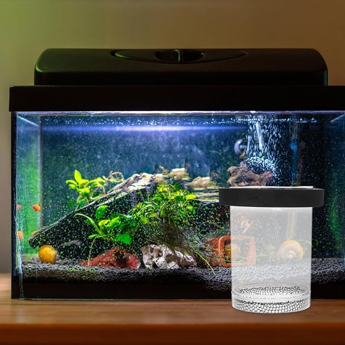 Floating Fish Breeder Box with Transparent Cover Aquarium Breeding Container for Guppies Protects Newborn Fry from Predators Improves Survival Rate for Fish Tanks