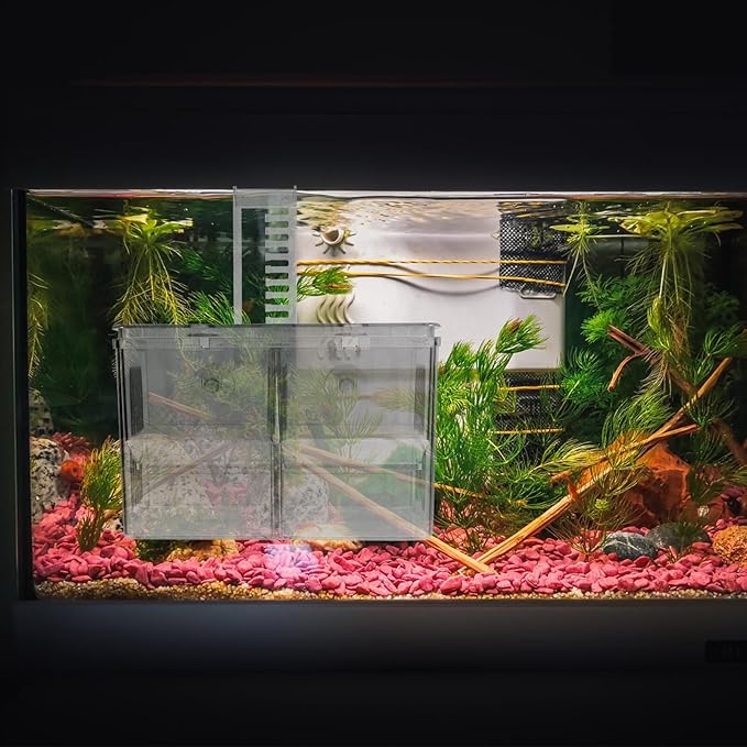 BESPORTBLE Fish Breeding Hatchery Box with Hooks, Aquarium Isolation Nursery Tank, Dual-Chamber Incubator for Tropical Fish Fry and Guppy Breeding in Home Aquariums