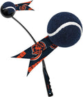 Littlearth NFL Pet Ball Launcher