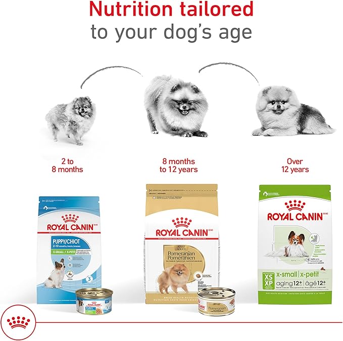 Royal Canin Breed Health Nutrition Pomeranian Adult Loaf in Sauce Dog Food, 3 oz (Pack of 24)