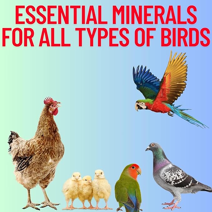 Pure Oyster Shells Minerals, High Calcium Supplement, Designed to Promote Strong Bones, Better Digestion, and Overall Well-Being for Pigeons, Small Cage Birds, Duck and Chickens 3 Pounds Bag