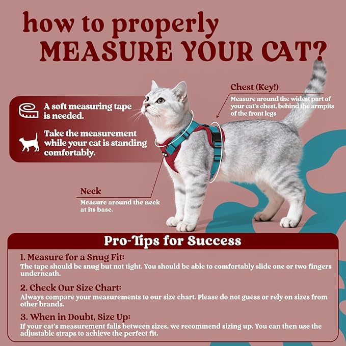 rabbitgoo Cat Harness and Leash for Walking, Escape Proof Soft Adjustable Vest Harnesses for Cats, Easy Control Breathable Reflective Strips Jacket, Red & Teal, S