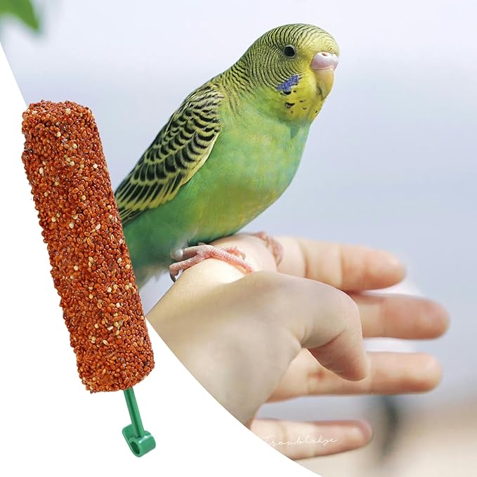 Parakeet Treats Sticks - Training and Chewing Bird Snacks for Parakeets, Finches, Conures with Nutrient-Rich | Reward Food for Myna, Parrot, Foraging, Healthy Snack, 2 Pack