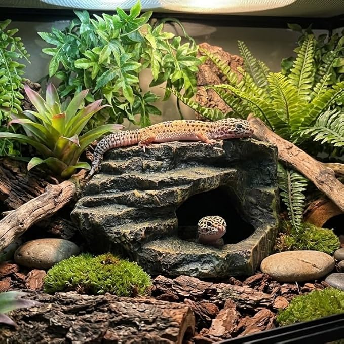 Reptile Tank Accessories, Turtle Tank Decor, Aquarium Caves, Perfect Gecko Hide, Fish Aquarium Decor, Professional Turtle Basking Platform (Antique)