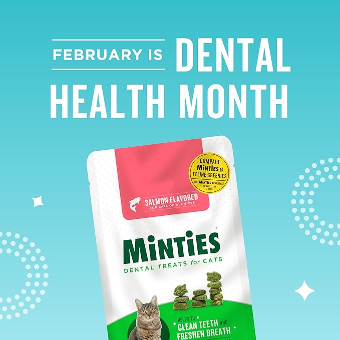 Minties Dental Treats for Cats, Salmon Flavored Treats for Cats, Freshens Breath and Controls Tartar, 30oz (12 2.5oz Bags)