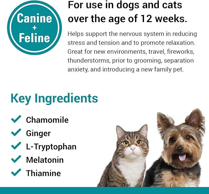 Vet Classics Stress Away Calming, Anxiety Aid for Dogs and Cats – Soft Chew Pet Health Supplement for Dogs, and Cats - Melatonin, Ginger – 65 Soft Chews