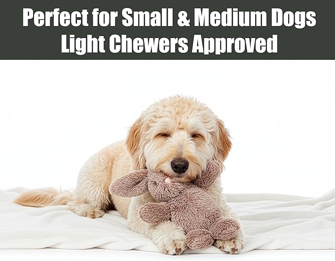 SPOT Cuddle Bunnies Dog Toy - Soft, Plush Fabric Dog Toy with Squeaker, Perfect for Cuddling, Great for Dogs and Puppies of All Ages, Medium to Large Breeds - 13" Rabbit, Assorted Colors