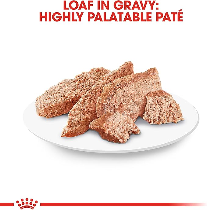 Royal Canin Breed Health Nutrition Pomeranian Adult Loaf in Sauce Dog Food, 3 oz (Pack of 24)