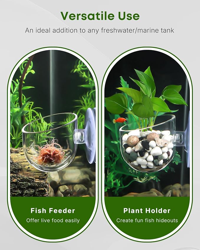 Pawfly 2 Pcs Aquarium Plant Holder, Fish Tank Plant Pot for Aquascape Decoration, Red Worm Fish Feeder, Aquarium Planter Cup with Suction Cup, Clear.