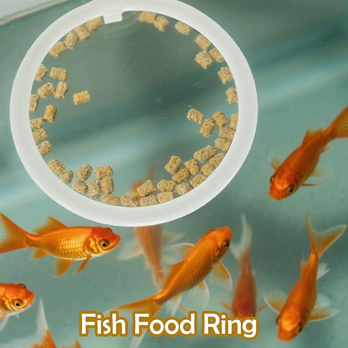 CAIJ 6Pcs Betta Exercise Ring with Suction-Cup, Betta Exercise Ring, Fish Feeding Ring, Aquarium Accessories, Betta Fish Enrichment Toys (Moon & Heart & Round)