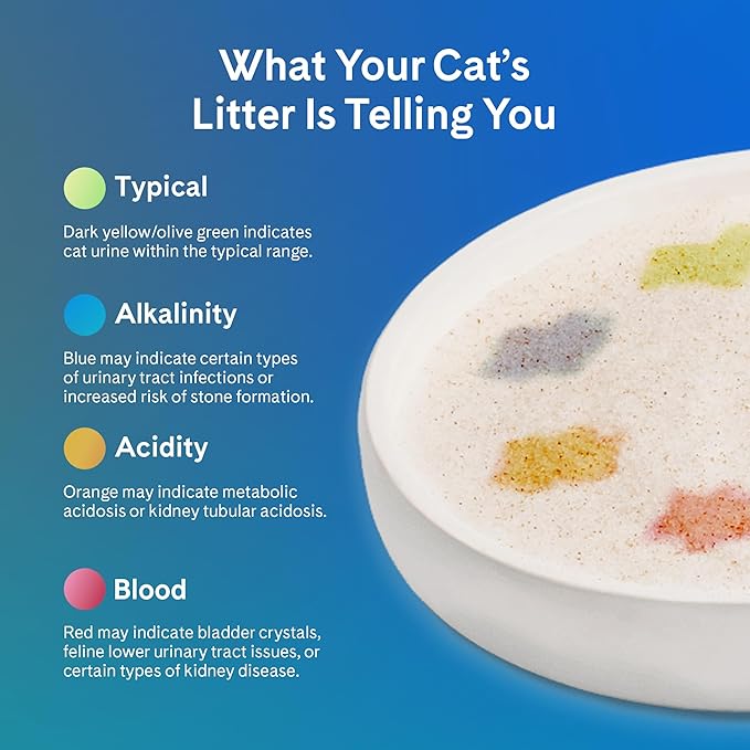 PrettyLitter Health Monitoring Cat Litter (Unscented, Non Clumping) | Lightweight & Low Tracking, Color Changing Silica Gel Crystals, Advanced Odor Control — 6 Lbs, Pack of 1 (Up to 1 Month Supply)