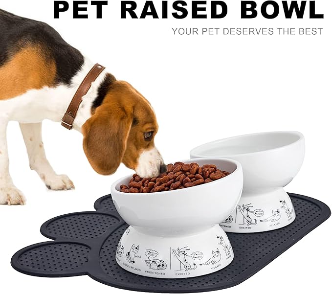 Ceramic Raised Cat Bowls | Tilted Elevated Bowl for Food and Water | Small Dog Bowl With Anti-Slip Silicone Pet Food Mat | 2 Pack Black Set
