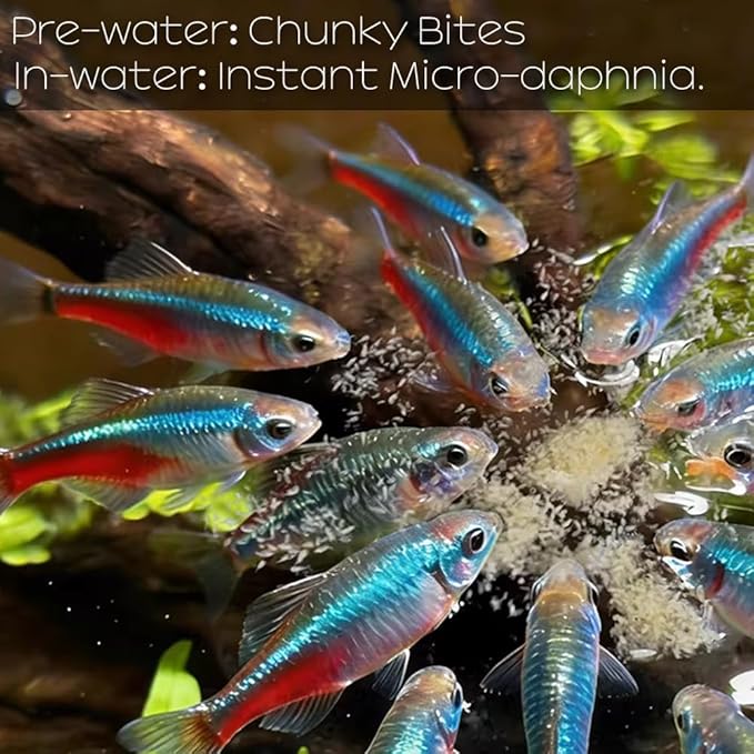 All Natural Tropical Fish Food for Small to Medium Sized Saltwater & Freshwater Fish - Betta Guppy Discus Cichlids Discus Goldfish Angel Fish (Daphnia)