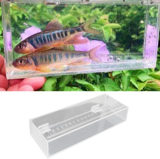 Fish Breeding Box Fish Isolation Breeder Box Fishing Photo Tank Fish Viewing Box, 22x4.2x8cm
