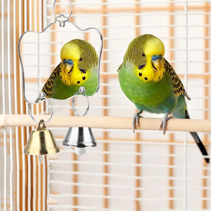 Hypeety Pet Bird Mirror Toy with Bells Hanging Toy for Parakeet Cockatiel Conure Lovebirds Finch Canary Cage Swing Fun Play Toy (Bird Mirror-2 Bells)