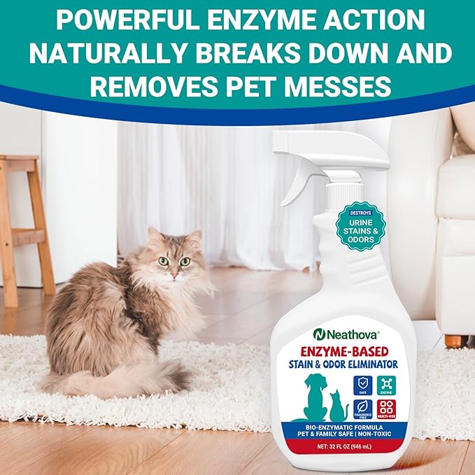 Stain & Strong Odor Eliminator, Enzyme Cleaner, Pet Odor Eliminator for Home - Carpet Stain Remover for Cats & Dog Pee - Urine Destroyer - Carpet Cleaner Spray Clear (Unscented)