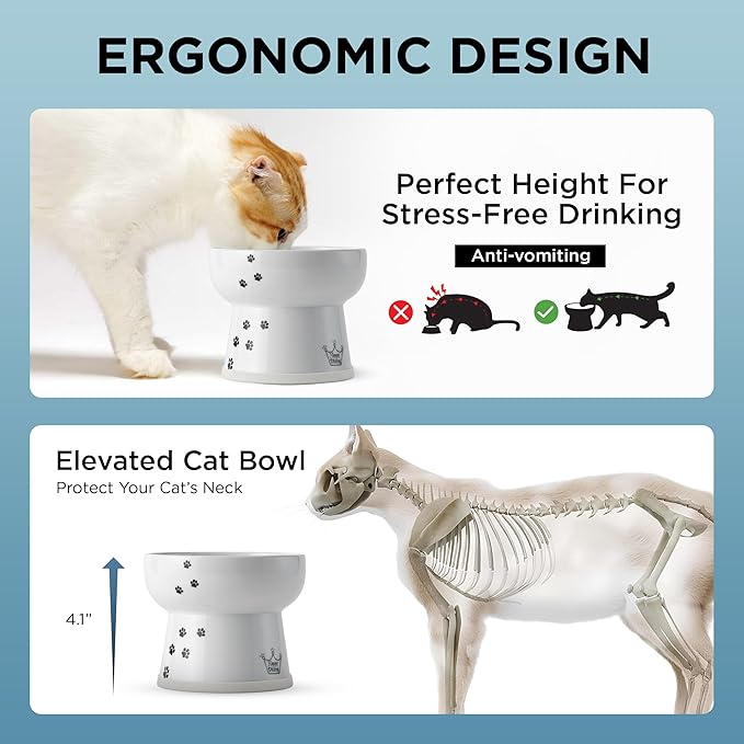 NECOICHI Raised Cat Water Bowl, Elevated, with Measurement Lines, Dishwasher and Microwave Safe (Cat, Extra Tall) White