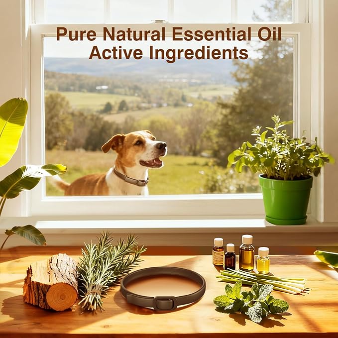 Flea Collar for Dogs, 4 Pack Flea and Tick, Dog Flea Collar with Natural Essential Oils, Adjustable Size for All Ages of Dogs(Black)