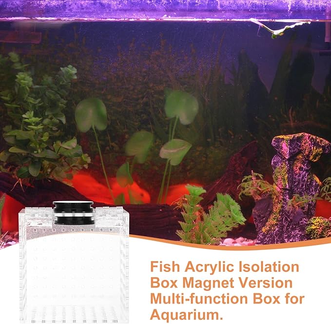 Toyvian 1pc Magnetic Fish Isolation Box Aquarium Breeding Case for Safe Fish Separation and Adaptation for Fry Easy to Install Tank