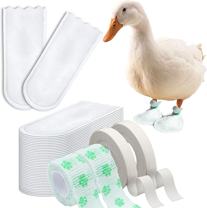 Disposable Boots for Real Duck Feet, Bumble Foot for Duck Supplies with Bandage, Large Size (Green, 40 PCS)